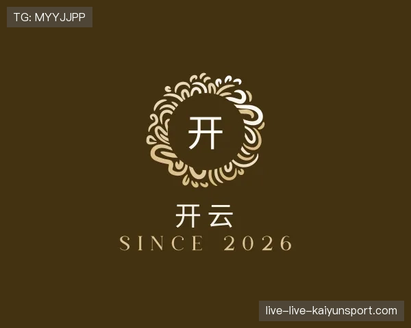 关于开云世界杯
